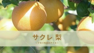 Eye catch:sacre japanese pear